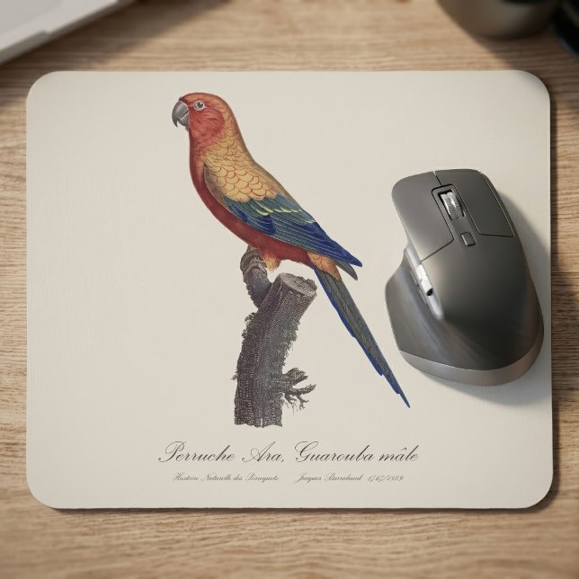 Alfombrilla De Ratón Perico Sol, Aratinga Solstitialis (Sun Parakeet Male, Aratinga Solstitialis. Mouse Pad)