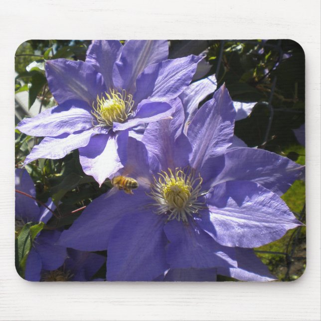 Alfombrilla De Ratón Periwinkle Clematis y Bee mousepad (Frente)