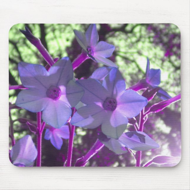 Alfombrilla De Ratón Periwinkle Nicotiana mousepad (Frente)