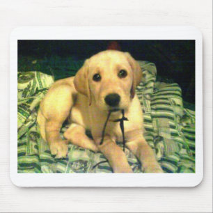 Alfombrilla De Ratón perrito amarillo del labrador retriever