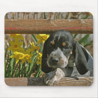Alfombrilla De Ratón Perrito de Bluetick
