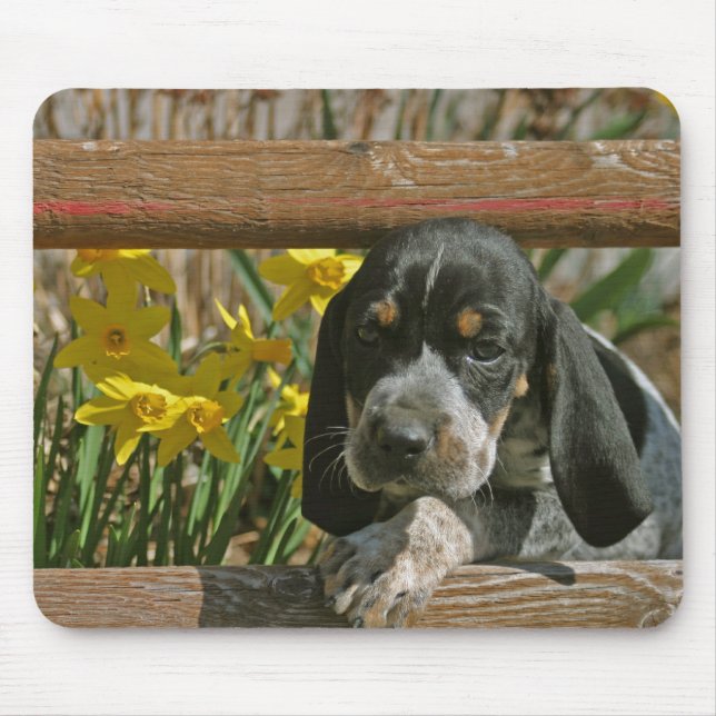 Alfombrilla De Ratón Perrito de Bluetick (Frente)