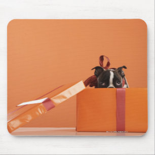 Alfombrilla De Ratón Perrito de Boston terrier en caja de regalo