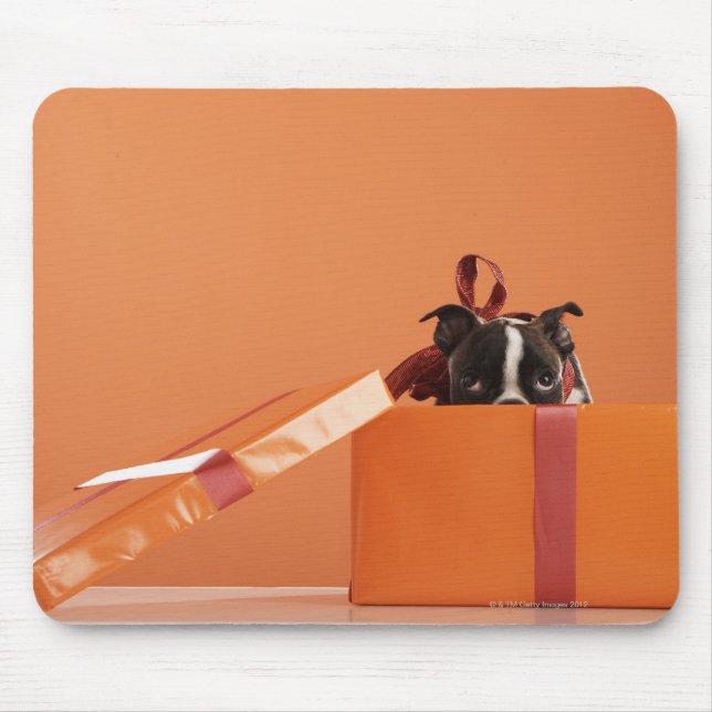 Alfombrilla De Ratón Perrito de Boston terrier en caja de regalo (Frente)