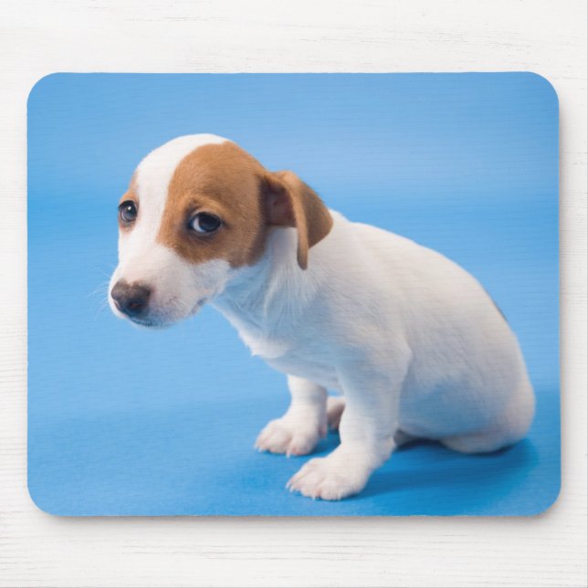 Alfombrilla De Ratón Perrito de Jack Russell (Frente)
