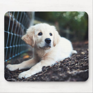 Alfombrilla De Ratón Perrito de Labrador que juega en el jardín