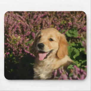 Alfombrilla De Ratón Perrito de oro de Retreiver