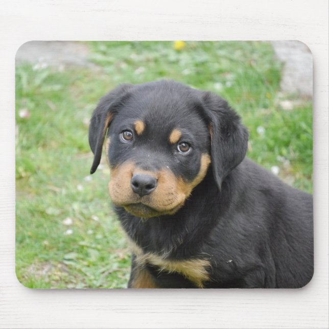 Alfombrilla De Ratón Perrito de Rottweiler (Frente)