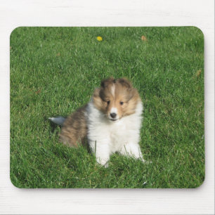 Alfombrilla De Ratón Perrito de Sheltie en mousepad de la hierba