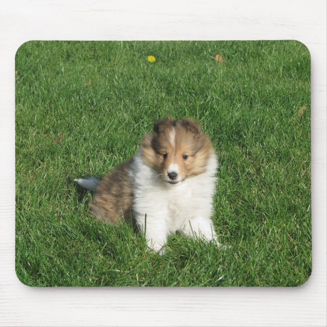 Alfombrilla De Ratón Perrito de Sheltie en mousepad de la hierba (Frente)
