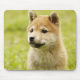 Alfombrilla De Ratón perrito de Shiba-ken