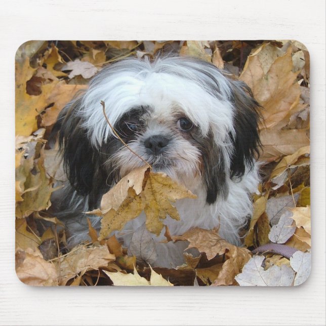 Alfombrilla De Ratón perrito de shih-tzu (Frente)