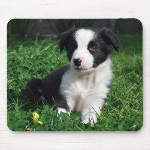 Alfombrilla De Ratón Perrito del border collie