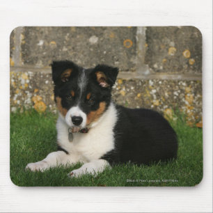 Alfombrilla De Ratón Perrito del border collie con la hoja en boca