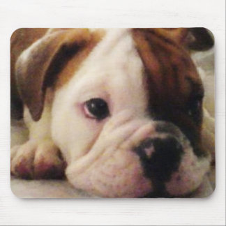 Alfombrilla De Ratón Perrito del bulldog