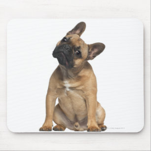 Alfombrilla De Ratón Perrito del bulldog francés (7 meses)