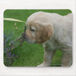 Alfombrilla De Ratón Perrito del golden retriever
