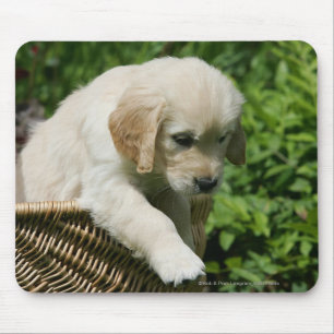 Alfombrilla De Ratón Perrito del golden retriever en cesta