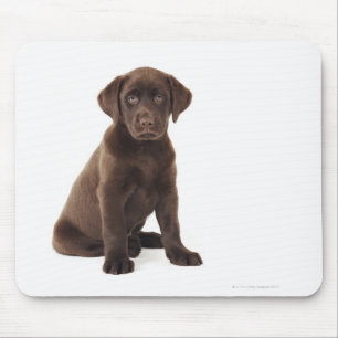 Alfombrilla De Ratón Perrito del labrador retriever del chocolate