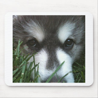 Alfombrilla De Ratón Perrito del Malamute de Alaska