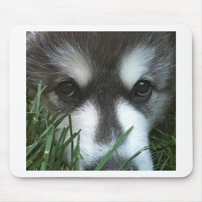 Alfombrilla De Ratón Perrito del Malamute de Alaska (Frente)