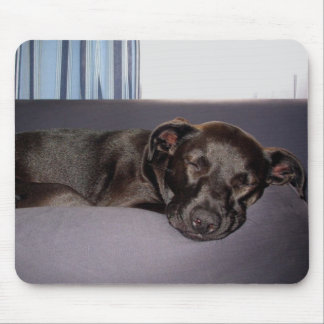 Alfombrilla De Ratón Perrito el dormir