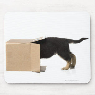 Alfombrilla De Ratón Perrito en caja de cartón
