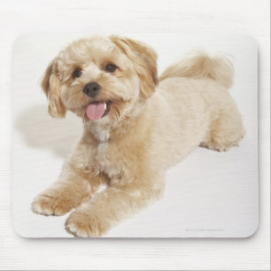 Alfombrilla De Ratón Perrito (familiaris del Canis) 2