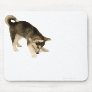 Alfombrilla De Ratón Perrito fornido 2