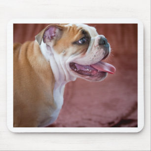 Alfombrilla De Ratón Perrito inglés del bulldog