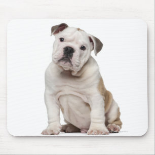 Alfombrilla De Ratón Perrito inglés del bulldog (2 meses)