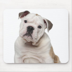 Alfombrilla De Ratón Perrito inglés del bulldog (2 meses)