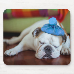 Alfombrilla De Ratón Perrito joven enfermo de las imágenes el   de