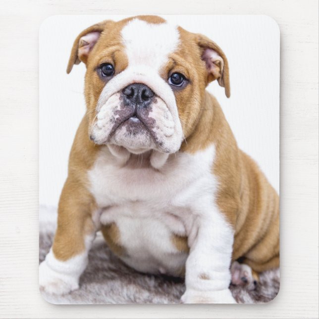 Alfombrilla De Ratón Perrito lindo del bulldog que se sienta (Frente)