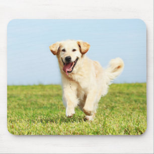 Alfombrilla De Ratón Perrito lindo del golden retriever que corre en