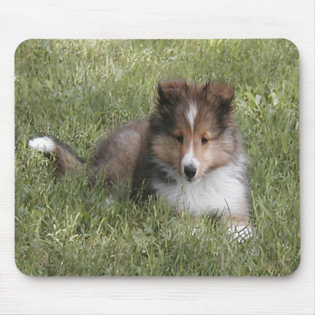 Alfombrilla De Ratón Perrito lindo del perro pastor de Shetland que (Frente)