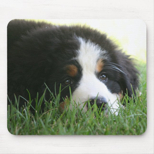 Alfombrilla De Ratón Perrito Mousepad de Bernese (Frente)