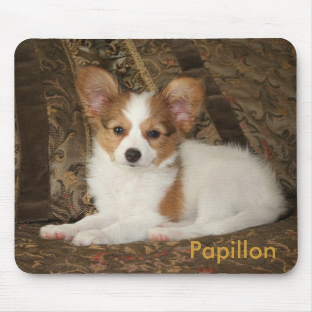 Alfombrilla De Ratón Perrito Mousepad de Papillon (Frente)