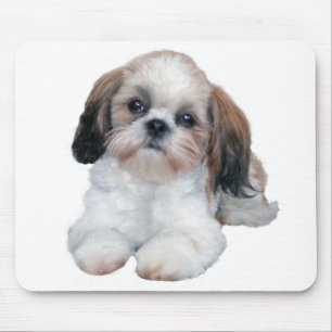 Alfombrilla De Ratón Perrito Mousepad de Shih Tzu