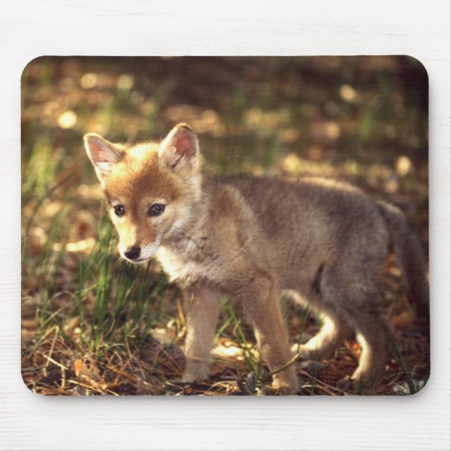 Alfombrilla De Ratón Perrito Mousepad del coyote (Frente)