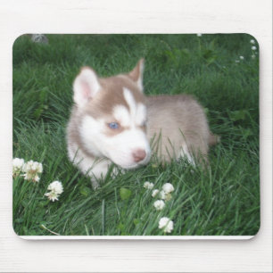 Alfombrilla De Ratón Perrito Mousepad del husky siberiano