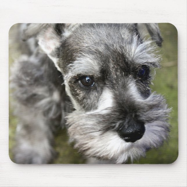 Alfombrilla De Ratón Perrito Mousepad del Schnauzer miniatura (Frente)