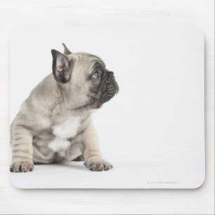 Alfombrilla De Ratón Perrito pedigrí