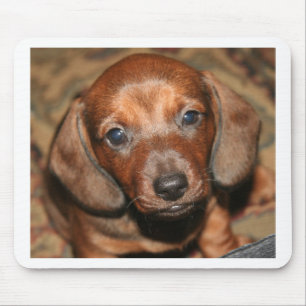 Alfombrilla De Ratón Perrito uno del Dachshund