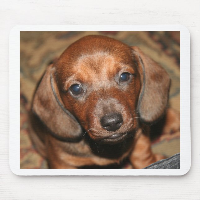 Alfombrilla De Ratón Perrito uno del Dachshund (Frente)