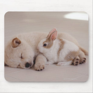 Alfombrilla De Ratón Perrito y conejo