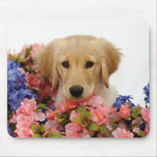 Alfombrilla De Ratón Perrito y flores del golden retriever