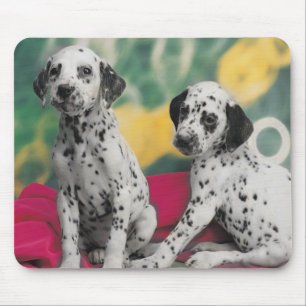 Alfombrilla De Ratón Perritos dálmatas Mousepad