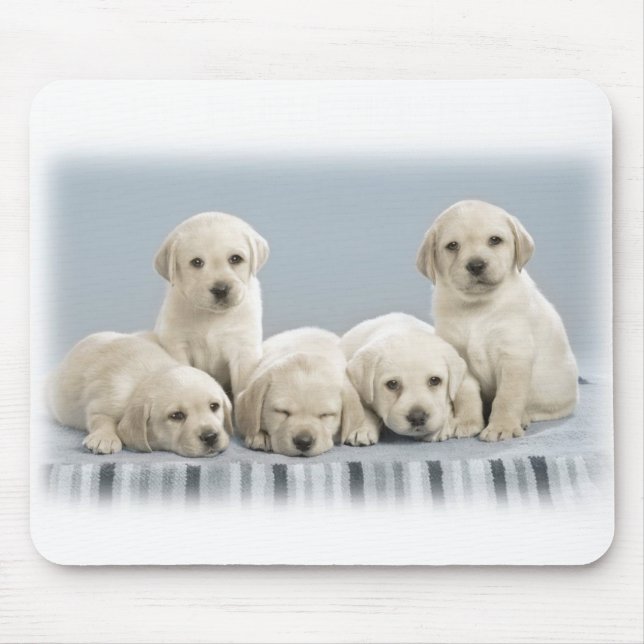 Alfombrilla De Ratón Perritos de Labrador (Frente)