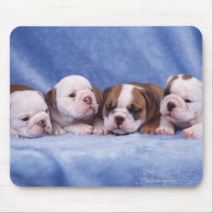 Alfombrilla De Ratón Perritos del bulldog